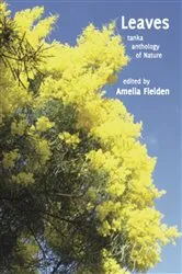 Book cover of Leaves by Amelia Fielden