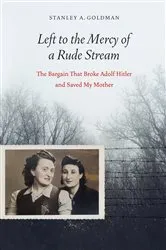 Book cover of Left to the Mercy of a Rude Stream by Stanley A. Goldman