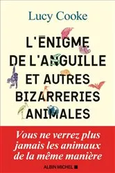 Book cover of L'Enigme de l'anguille by Unknown