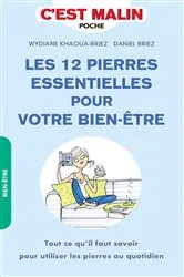 Book cover of Les 12 pierres essentielles pour votre bien-être, c'est malin by Unknown