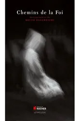 Book cover of Les chemins de la foi by Bruno Baccheschi