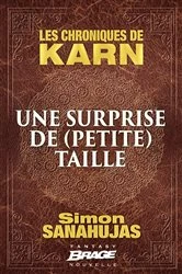 Book cover of Les Chroniques de Karn : Une surprise de (petite) taille by Simon Sanahujas