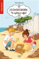 Book cover of Les cousins Rosario - Vol 1 - Un mystérieux coffret by Astrid CORNET