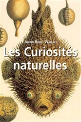 Book cover of Les Curiosités naturelles by Alfred Russel Wallace