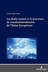 Book cover of Les droits sociaux et le processus de constitutionnalisation de l'Union Européenne by Unknown
