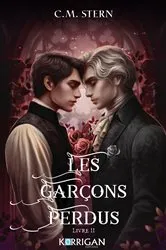 Book cover of Les garçons perdus T2 by C.M. Stern