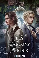 Book cover of Les garçons perdus by C.M. Stern