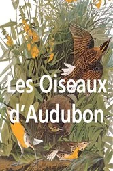 Book cover of Les Oiseaux d'Audubon by John James Audubon