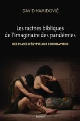 Book cover of Les racines bibliques de l'imaginaire des pandémies by David Hamidovic