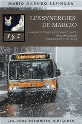 Book cover of Les synergies de Marcio 1 et 2 by Mario Garrido Espinosa