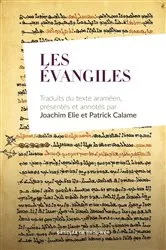 Book cover of Les Évangiles by Patrick Calame
