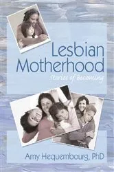 Book cover of Lesbian Motherhood by Amy Hequembourg