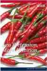 Book cover of Less Pretension, More Ambition by Peter van Lieshout