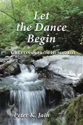 Book cover of Let the Dance Begin by Lynda Waterhouse