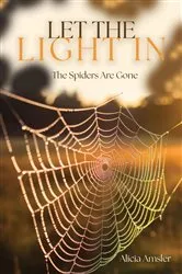 Book cover of Let the Light In by Alicia Amsler