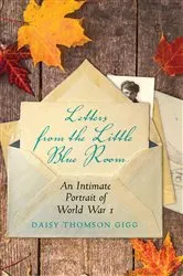 Book cover of Letters from the Little Blue Room by Unknown
