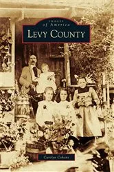 Book cover of Levy County by Carolyn Cohens