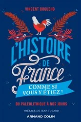 Book cover of L'Histoire de France comme si vous y étiez ! by Vincent Boqueho