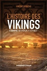 Book cover of L'histoire des Vikings comme si vous y étiez ! by Vincent Boqueho