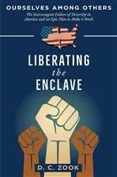 Book cover of Liberating the Enclave by D. C. Zook