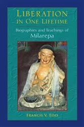 Book cover of Liberation in One Lifetime by Francis V. Tiso