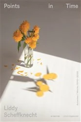 Book cover of Liddy Scheffknecht – Points in Time by Ernst Strouhal