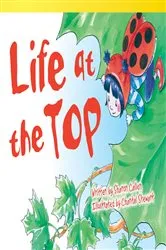 Book cover of Life at the Top by Sharon Callen