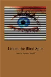Book cover of Life in the Blind Spot by Raymond Barfield
