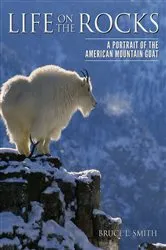 Book cover of Life on the Rocks by Bruce L. Smith