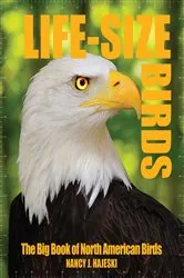 Book cover of Life-Size Birds by Nancy J. Hajeski