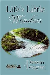 Book cover of Life's Little Wonders by Devon Teague