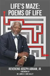 Book cover of Life's Maze by Joseph Abram