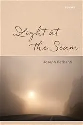 Book cover of Light at the Seam by Joseph Bathanti