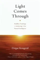 Book cover of Light Comes Through by Dzigar Kongtrul