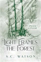 Book cover of Light Frames the Forest by S. C. Watson