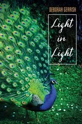 Book cover of Light in Light by Deborah Gerrish
