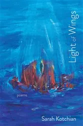 Book cover of Light of Wings by Unknown