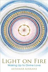 Book cover of Light on Fire by Gabrielle Selz