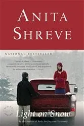 Book cover of Light on Snow by Anita Shreve