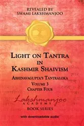 Book cover of Light on Tantra in Kashmir Shaivism - Volume 3 by Viresh Hughes