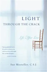 Book cover of Light Through the Crack by Sue Mosteller