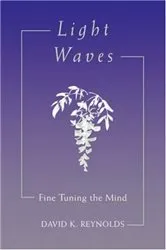 Book cover of Light Waves by David K. Reynolds