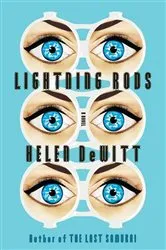 Book cover of Lightning Rods by Unknown