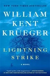 Book cover of Lightning Strike by Donald A. Davis