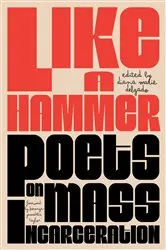 Book cover of Like a Hammer by Diana Marie Delgado