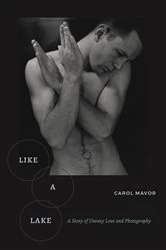 Book cover of Like a Lake by Carol Mavor