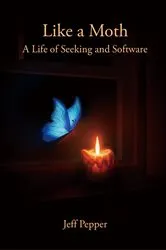 Book cover of Like a Moth by Jeff Pepper