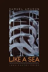Book cover of Like a Sea by Samuel Amadon