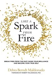 Book cover of Like a Spark From Fire by Berndt Maldonado, Debra,