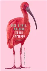 Book cover of Like a Tree, Walking by Unknown